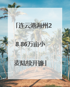 连云港海州28.86万亩小麦陆续开镰