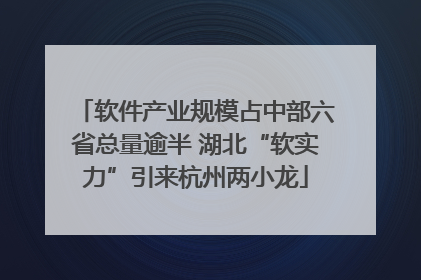 软件产业规模占中部六省总量逾半 湖北“软实力”引来杭州两小龙