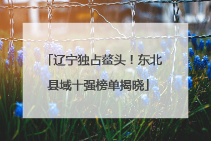 辽宁独占鳌头！东北县域十强榜单揭晓