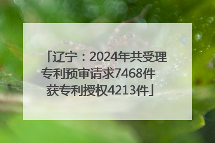 辽宁：2024年共受理专利预审请求7468件 获专利授权4213件