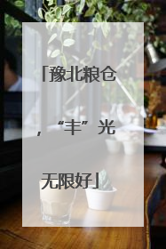 豫北粮仓，“丰”光无限好