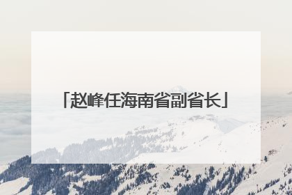 赵峰任海南省副省长