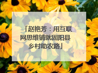 赵艳芳：用互联网思维铺就固阳县乡村助农路
