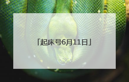 起床号6月11日