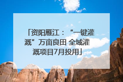 资阳雁江：“一键灌溉”万亩良田 全域灌溉项目7月投用