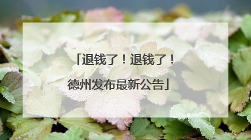 退钱了！退钱了！德州发布最新公告
