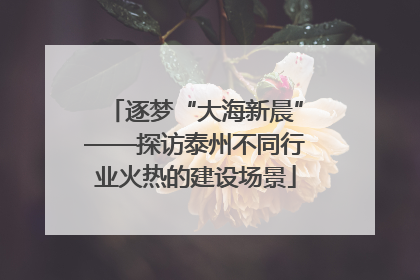 逐梦“大海新晨”——探访泰州不同行业火热的建设场景