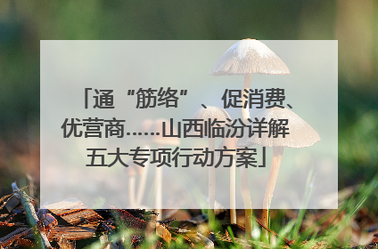 通“筋络”、促消费、优营商……山西临汾详解五大专项行动方案
