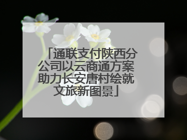 通联支付陕西分公司以云商通方案助力长安唐村绘就文旅新图景