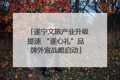 遂宁文旅产业升级提速 “遂心礼”品牌外宣战略启动