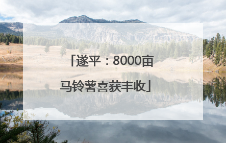 遂平：8000亩马铃薯喜获丰收