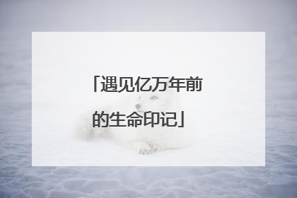 遇见亿万年前的生命印记