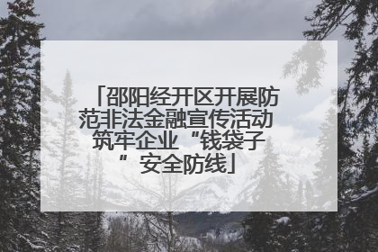 邵阳经开区开展防范非法金融宣传活动 筑牢企业“钱袋子”安全防线