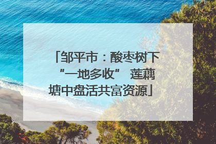 邹平市：酸枣树下“一地多收” 莲藕塘中盘活共富资源