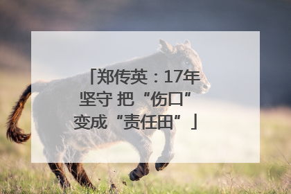 郑传英：17年坚守 把“伤口”变成“责任田”