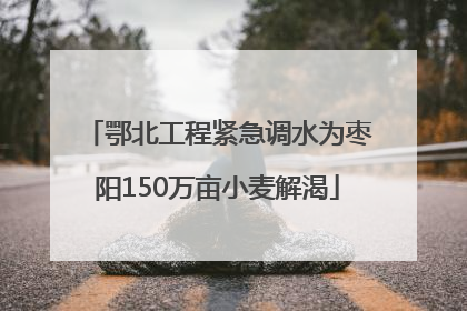 鄂北工程紧急调水为枣阳150万亩小麦解渴