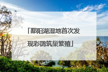 鄱阳湖湿地首次发现彩鹮筑巢繁殖