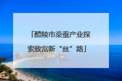 醴陵市桑蚕产业探索致富新“丝”路