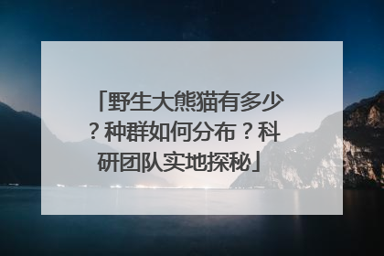 野生大熊猫有多少？种群如何分布？科研团队实地探秘