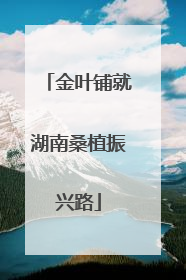 金叶铺就湖南桑植振兴路