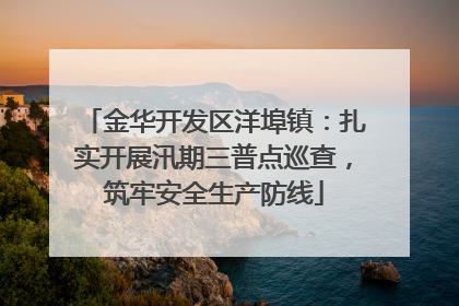 金华开发区洋埠镇：扎实开展汛期三普点巡查，筑牢安全生产防线