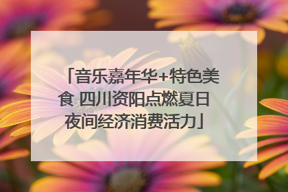 音乐嘉年华+特色美食 四川资阳点燃夏日夜间经济消费活力