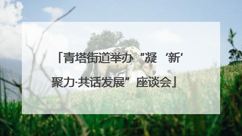 青塔街道举办“凝‘新’聚力·共话发展”座谈会