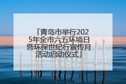 青岛市举行2025年全市六五环境日暨环保世纪行宣传月活动启动仪式