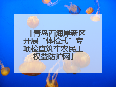 青岛西海岸新区开展“体检式”专项检查筑牢农民工权益防护网