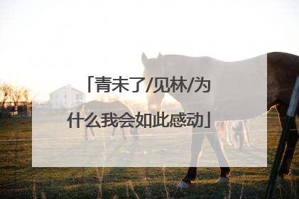 青未了/见林/为什么我会如此感动