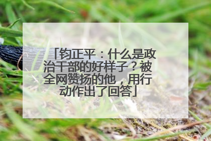钧正平：什么是政治干部的好样子？被全网赞扬的他，用行动作出了回答
