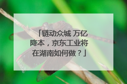 链动众城 万亿降本，京东工业将在湖南如何做？