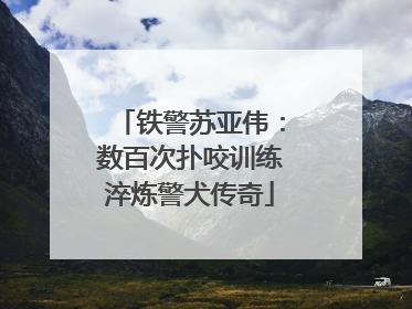 铁警苏亚伟：数百次扑咬训练淬炼警犬传奇