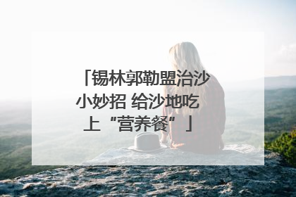 锡林郭勒盟治沙小妙招 给沙地吃上“营养餐”