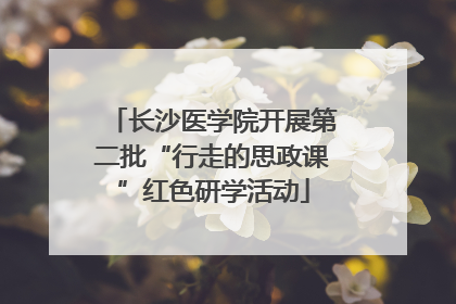 长沙医学院开展第二批“行走的思政课”红色研学活动