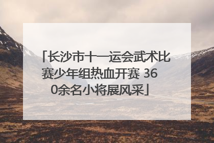 长沙市十一运会武术比赛少年组热血开赛 360余名小将展风采