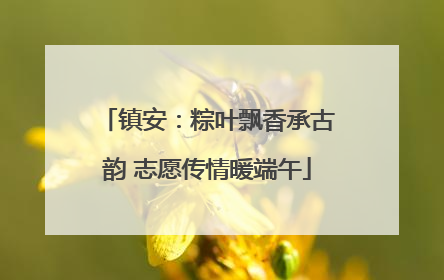 镇安：粽叶飘香承古韵 志愿传情暖端午