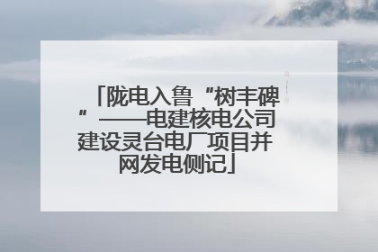 陇电入鲁“树丰碑”——电建核电公司建设灵台电厂项目并网发电侧记