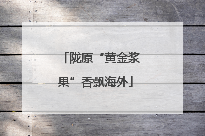 陇原“黄金浆果”香飘海外