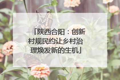 陕西合阳：创新村规民约让乡村治理焕发新的生机