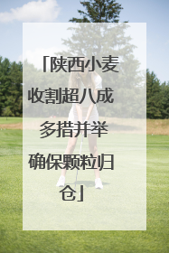 陕西小麦收割超八成 多措并举确保颗粒归仓