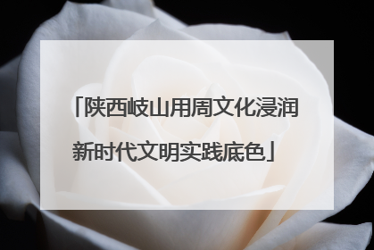 陕西岐山用周文化浸润新时代文明实践底色