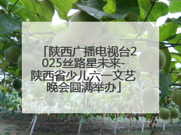 陕西广播电视台2025丝路星未来-陕西省少儿六一文艺晚会圆满举办