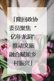 隆回政协委员聚焦“亿年龙洞” 推动文旅融合赋能乡村振兴