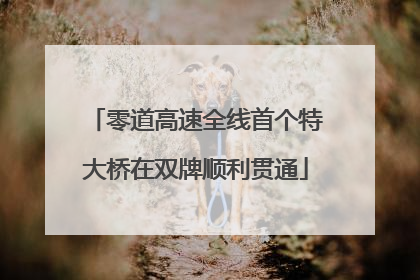 零道高速全线首个特大桥在双牌顺利贯通