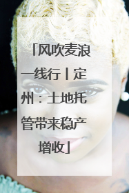 风吹麦浪一线行丨定州：土地托管带来稳产增收