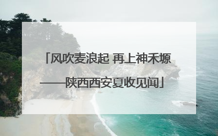风吹麦浪起 再上神禾塬——陕西西安夏收见闻