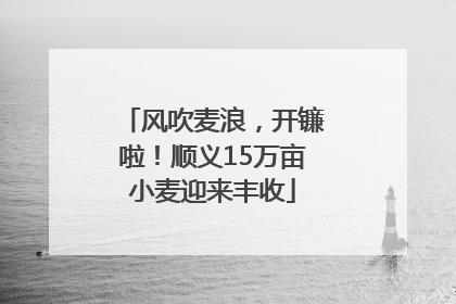 风吹麦浪，开镰啦！顺义15万亩小麦迎来丰收