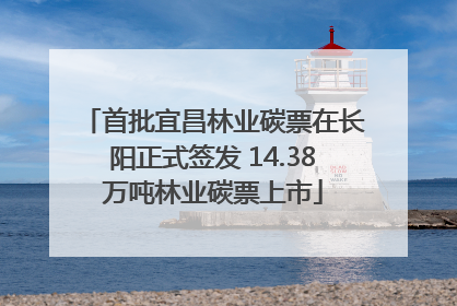 首批宜昌林业碳票在长阳正式签发 14.38万吨林业碳票上市