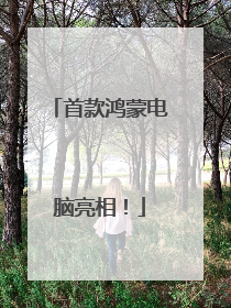 首款鸿蒙电脑亮相！